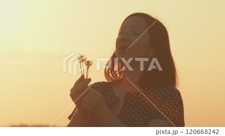Woman Blowing Dandelion Wishing Joy Concept. Woman Blowing Dandelion Seed Relaxing In Countryside With Golden Sunset Field In Background. Gimbal shot. Woman Blowing Dandelion Wishing Joy Concept. Woman Blowing Dandelion Seed Relaxing In Countryside With Golden Sunset Field In Background. Gimbal shot. 120668242