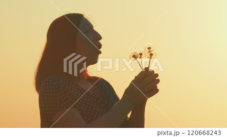 Female Blowing Dandelion Flower. Blows Seeds To Make A Wish. Beautiful Woman Enjoying Nature Summer At Sun Evening. Gimbal shot. Female Blowing Dandelion Flower. Blows Seeds To Make A Wish. Beautiful Woman Enjoying Nature Summer At Sun Evening. Gimbal shot. 120668243