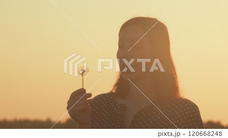 Beautiful Woman Blowing Dandelion On Meadow At Sunset. Pretty Brunette Blowing Dandelion Flower. Gimbal shot. Beautiful Woman Blowing Dandelion On Meadow At Sunset. Pretty Brunette Blowing Dandelion Flower. Gimbal shot. 120668248