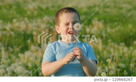 Happy Childhood In Lush Meadows Symbolizing Freedom. Human And Nature. Cheerful Boy Plays With Dandelion Flower. Summer Evening. Gimbal shot. 120668267