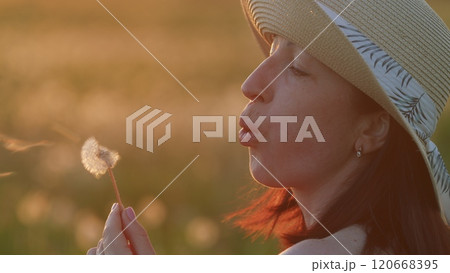 Woman Blowing On Dandelion. Woman Holds A Dandelion. Caucasian Happy woman Blowing Dandelions In Summer Countryside At Sunset. Steadicam Shot. Woman Blowing On Dandelion. Woman Holds A Dandelion. Caucasian Happy woman Blowing Dandelions In Summer Countryside At Sunset. Steadicam Shot. 120668395