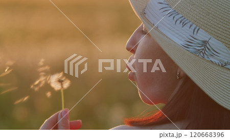 Girl Blowing On A Dandelion. Portrait Of Beauty Young Brunette Woman At Summer Sunset Time. Concept Of Happy Carefree Lifestyle. Steadicam Shot. 120668396
