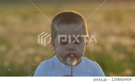 Little 5 Year Old Boy Blows On A Dandelion In Park. In Green Field Boys Joy Blowing Dandelion. Boy On Meadow With White Flower In His Hand. Gimbal shot. 120668404