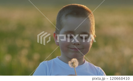 Happy Childhood In Lush Meadows Symbolizing Freedom. Human And Nature. Cheerful Boy Plays With Dandelion Flower. Summer Evening. Gimbal shot. 120668410