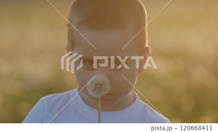 Child Plays In Park In Warm Weather. Happy Childhood Natures Embrace. Boy Child Blowing Dandelion At Sunset Autumn Or Summer Sunny Meadow. Gimbal Stabilize. 120668411