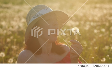Woman Blowing On Dandelion. Woman Holds A Dandelion. Caucasian Happy woman Blowing Dandelions In Summer Countryside At Sunset. Gimbal shot. 120668484