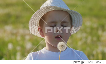 Happy Childhood In Lush Meadows Symbolizing Freedom. Human And Nature. Cheerful Boy Plays With Dandelion Flower. Summer Evening. Gimbal shot. 120668528