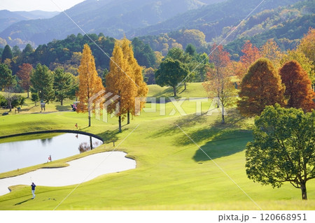 フェアウエイのメルヘンチックな 木立の紅葉4 フェアウエイのメルヘンチックな 木立の紅葉4 120668951