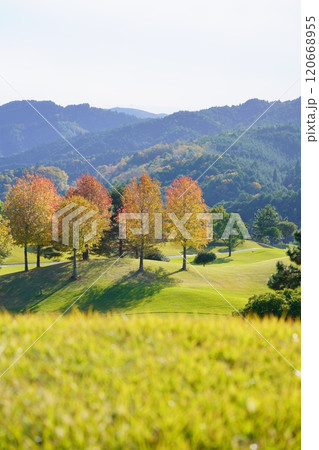 フェアウエイのメルヘンチックな 木立の紅葉2 120668955