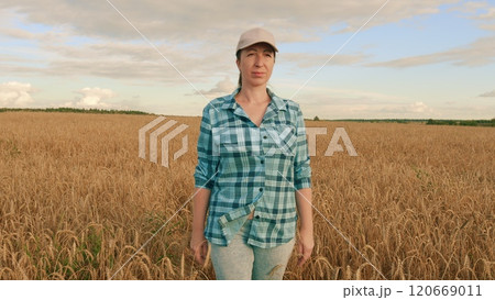 Modern Farmer Concept. Agronomist Walks Through Field And Enjoys golden Wheat Harvest. Beautiful Field In Sunset. Human In Nature. Steadicam Shot. 120669011
