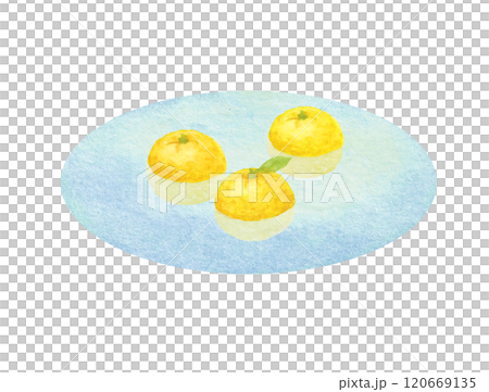 水彩手書きの柚子湯のイメージのラスターイラスト 120669135