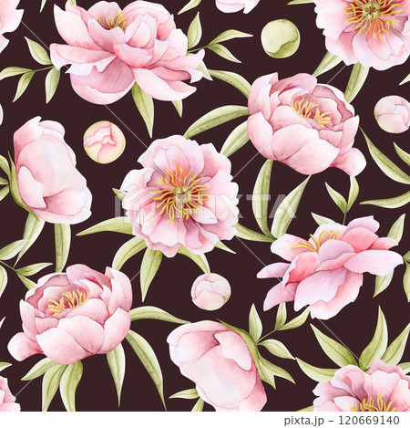 Romantic pink peony flowers with leaves and buds watercolor seamless pattern on dark brown. Floral spring garden roses repeat background for wedding design, Women's Day greeting cards and textiles 120669140