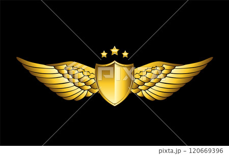 golden coat of arms with three star 120669396