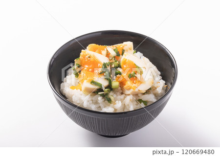 つけだれ煮卵ごはん つけだれ煮卵ごはん 120669480