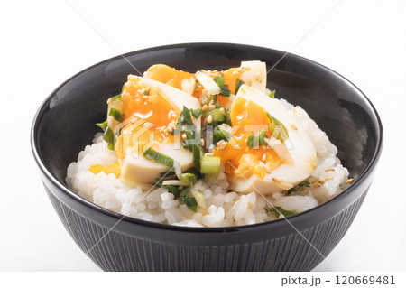 つけだれ煮卵ごはん 120669481