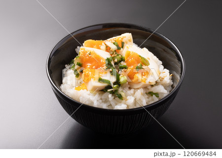 つけだれ煮卵ごはん つけだれ煮卵ごはん 120669484