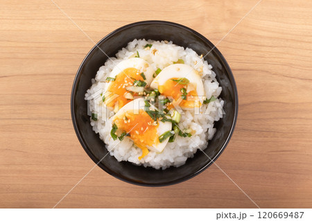 つけだれ煮卵ごはん つけだれ煮卵ごはん 120669487