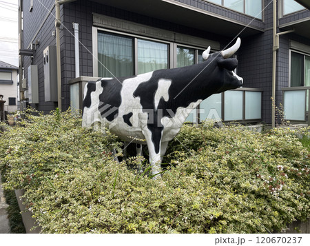 statue of a cow in front of a house in the bushes 120670237