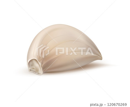 Realistic isolated garlic clove. Unpeeled ripe and raw garlic seasoning vegetable slice with papery skin encase plump bulb, ready for culinary. 3d vector clove boast a pungent aroma and robust flavor Realistic isolated garlic clove. Unpeeled ripe and raw garlic seasoning vegetable slice with papery skin encase plump bulb, ready for culinary. 3d vector clove boast a pungent aroma and robust flavor 120670269