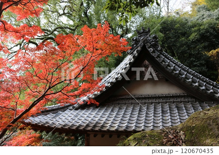 四国霊場71番 弥谷寺 四国霊場71番 弥谷寺 120670435