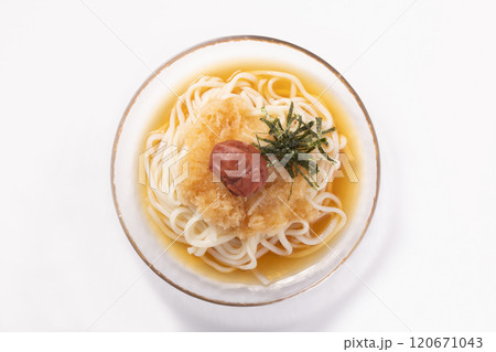 紀州南高梅　冷やし梅おろしうどん 120671043