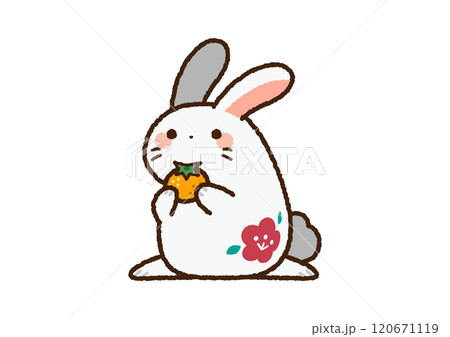十二支のウサギの絵 かわいい干支のウサギ 卯：イラスト無料