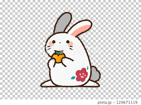 十二支の卯年のうさぎのイラストのイラスト素材 [120671119] - PIXTA