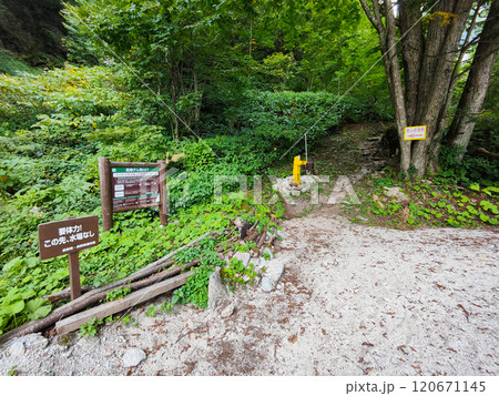 夏の烏帽子岳・南沢岳登山(北アルプス裏銀座登山口) 夏の烏帽子岳・南沢岳登山(北アルプス裏銀座登山口) 120671145