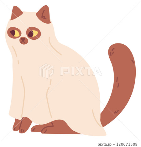 Sad cat sit. Siamese grumpy pet icon 120671309