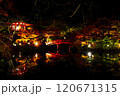 ライトアップされた紅葉と池に映る橋　醍醐寺 120671315