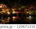 ライトアップされた紅葉と池に映る橋　醍醐寺 120671316