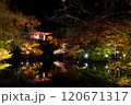 ライトアップされた紅葉と池に映る橋　醍醐寺 120671317