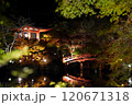 ライトアップされた紅葉と池に映る橋　醍醐寺 120671318