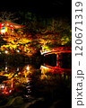 ライトアップされた紅葉と池に映る橋　醍醐寺 120671319