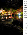 ライトアップされた紅葉と池に映る橋　醍醐寺 120671322