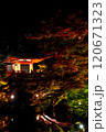 ライトアップされた紅葉と池に映る橋　醍醐寺 120671323