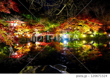 ライトアップされた紅葉と池に映る橋　醍醐寺 120671324