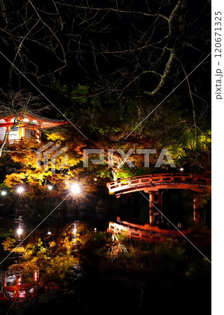 ライトアップされた紅葉と池に映る橋　醍醐寺 120671325