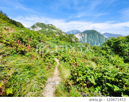 夏の烏帽子岳・南沢岳登山（烏帽子岳～南沢岳） 120671453
