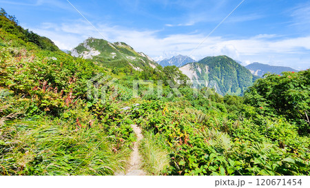 夏の烏帽子岳・南沢岳登山（烏帽子岳～南沢岳） 120671454