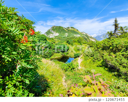夏の烏帽子岳・南沢岳登山（烏帽子岳～南沢岳：烏帽子田圃） 120671455