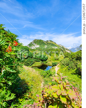 夏の烏帽子岳・南沢岳登山(烏帽子岳~南沢岳:烏帽子田圃) 夏の烏帽子岳・南沢岳登山(烏帽子岳~南沢岳:烏帽子田圃) 120671457
