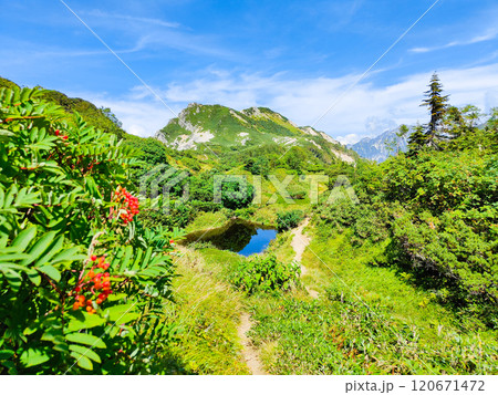 夏の烏帽子岳・南沢岳登山(烏帽子岳~南沢岳:烏帽子田圃) 夏の烏帽子岳・南沢岳登山(烏帽子岳~南沢岳:烏帽子田圃) 120671472