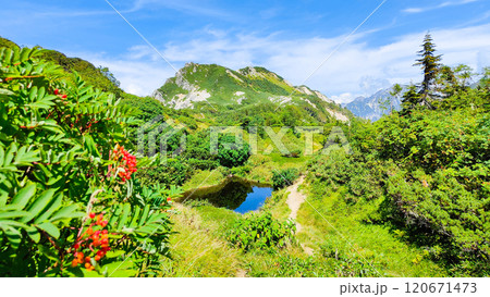 夏の烏帽子岳・南沢岳登山（烏帽子岳～南沢岳：烏帽子田圃） 120671473