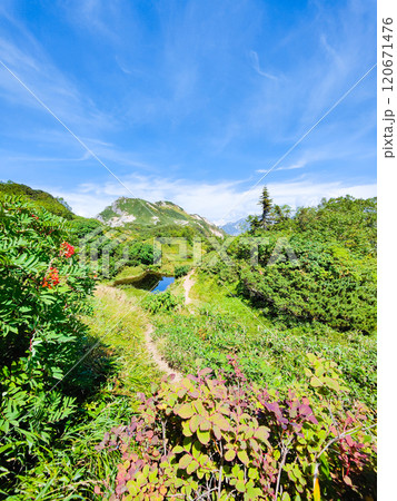 夏の烏帽子岳・南沢岳登山(烏帽子岳~南沢岳:烏帽子田圃) 夏の烏帽子岳・南沢岳登山(烏帽子岳~南沢岳:烏帽子田圃) 120671476
