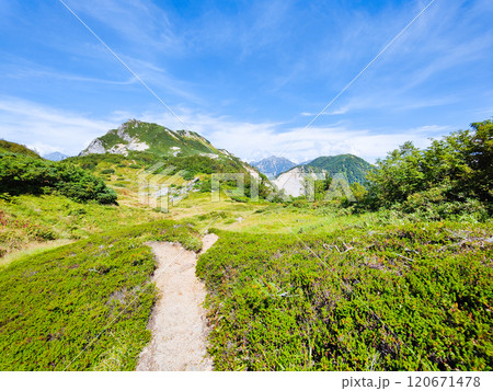 夏の烏帽子岳・南沢岳登山(烏帽子岳~南沢岳) 夏の烏帽子岳・南沢岳登山(烏帽子岳~南沢岳) 120671478
