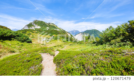 夏の烏帽子岳・南沢岳登山(烏帽子岳~南沢岳) 夏の烏帽子岳・南沢岳登山(烏帽子岳~南沢岳) 120671479
