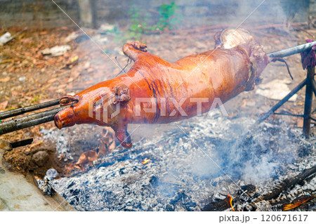 豚の丸焼き 120671617