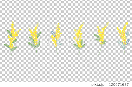 含羞草花矢量素材插畫 120671687