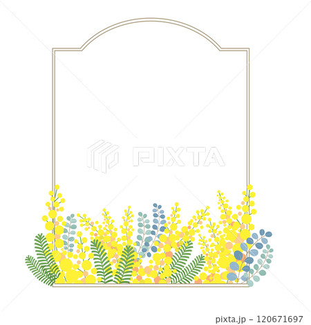 ミモザの花のベクター素材イラスト ミモザの花のベクター素材イラスト 120671697